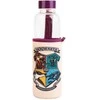 Harry Potter Haris Poteris - 500 ml stiklinis vandens gertuvė (Hogvartse)