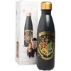 Nerūdijančio plieno gertuvė ERIK Harry Potter Hogwarts, 500 ml
