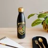 Nerūdijančio plieno gertuvė ERIK Harry Potter Hogwarts, 500 ml