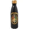 Nerūdijančio plieno gertuvė ERIK Harry Potter Hogwarts, 500 ml