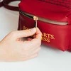 Harry Potter Haris Poteris - Mini kuprinė iš eko odos iš „Platform 9 3/4“ kolekcijos