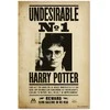 Plakatas ERIK Harry Potter Undesirable Number 1 poster