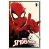Plakatas ERIK Marvel Spiderman poster