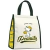 ERIK Peanuts Snoopy lunch bag