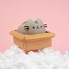 Pusheen - vinilo taupyklė Kawaii