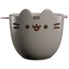 ERIK Pusheen Ramen 3D bowl