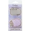 Pusheen - Erasers from the Moments collection
