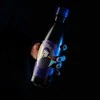 Nerūdijančio plieno gertuvė ERIK WEDNESDAY, 500 ml