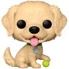 FUNKO POP! Vinilinė figūrėlė: Pets - Auksaspalvis retriveris, 9 cm