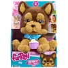 Hasbro FURREAL Interaktyvus šuniukas „Benny the Kiss & Cuddle Pup“
