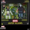 Hasbro Marvel Legends Series Super Villains Madame Masque &amp; Crossbones pack 2 figures 15cm