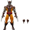 Hasbro Marvel Legends Series Wolverine &amp; Lilandra Neramani pack figures 15cm