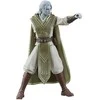 Hasbro Star Wars Jedi 1 Survivor Dagan Gera figure 15cm