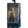Hasbro Star Wars Jedi Fallen Order Nightbrother Warrior figure 15cm