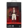 Hasbro Star Wars The Acolyte Jedi Master Indara figure 15cm