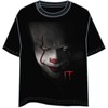 It adult t-shirt