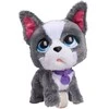 justplay Hasbro *****FRF Prancūzų buldogas vaikščiojantis su pavadėliu 81617