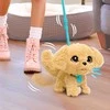 Fur Real Hasbro *****FRF Auksaspalvis retriveris vaikščiojantis su pavadėliu 81624