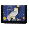 Cyp Brands Harry Potter pack wallet + keychain