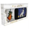 Cyp Brands Harry Potter pack wallet + keychain