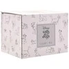 Widdop Co Disney Cats &amp; Dogs Meow mug