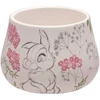 Widdop Co Disney Forest Friends jewellery box