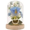 Widdop Co Disney Princess Cinderella florals in a clonche with neon light