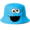 Karactermania Sesame Street Cookie Monster bucket