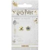 The Carat Shop Harry Potter Chocolate Frog auksinis plated stud earrings