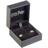The Carat Shop Harry Potter Golden Snitch sidabrinis earrings