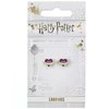 The Carat Shop Harry Potter Love Potion earrings