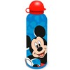Kids Euroswan Hiszpania *****Mickey zest.bidon alumin+niad.MK30007 72416