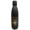 Kids Licensing Haris Poterio nerūdijančio plieno butelis 500 ml
