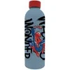 Kids Licensing Vaikiškas nerūdijančio plieno vandens buteliukas „Euroswan“ su 3D spauda, 500 ml, „Žmogus-voras“ 843372