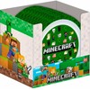 Kids Licensing Minecraft plate
