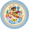 Kids Licensing Paw Patrol plate