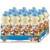 Kids Licensing Paw Patrol sport bottle