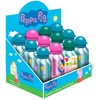 Kids Euroswan Aliuminio butelis PEPPA PIG BOTTLE modelis 1