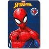 Marvel Spiderman polar blanket