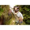 Mattel Jurassic World Spinosarurus Dinosaur mask