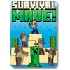 Mojang Studios Minecraft polar blanket