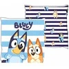 Moose Bluey cushion