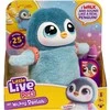 LITTLE LIVE PETS Interaktyvus pingvinas