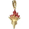 Noble Collection Harry Potter Order of the Phoenix charm