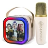 Otl Technologies Kpop Demon Hunter Kreminis Wireless Karaoke Speaker with 2 microphone