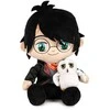 Play By Play Harry Potter - Harry Potter & Hedwig plush toy 29cm