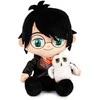 Play By Play Harry Potter - Harry Potter &amp; Hedwig plush toy 25cm