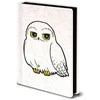Pyramid Harry Potter Hedwige premium A5 notebook