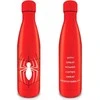 Vision Pyramid Marvel Spiderman Great Power metal bottle