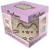 Pyramid Pusheen Mug with teddy bear cover 440ml